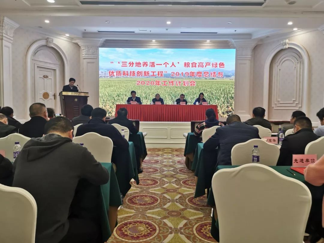 袁隆平團隊“三一工程”技術推廣211.97萬畝，喜獲豐收 科技成果為農業增色，輻射全國啟示未來